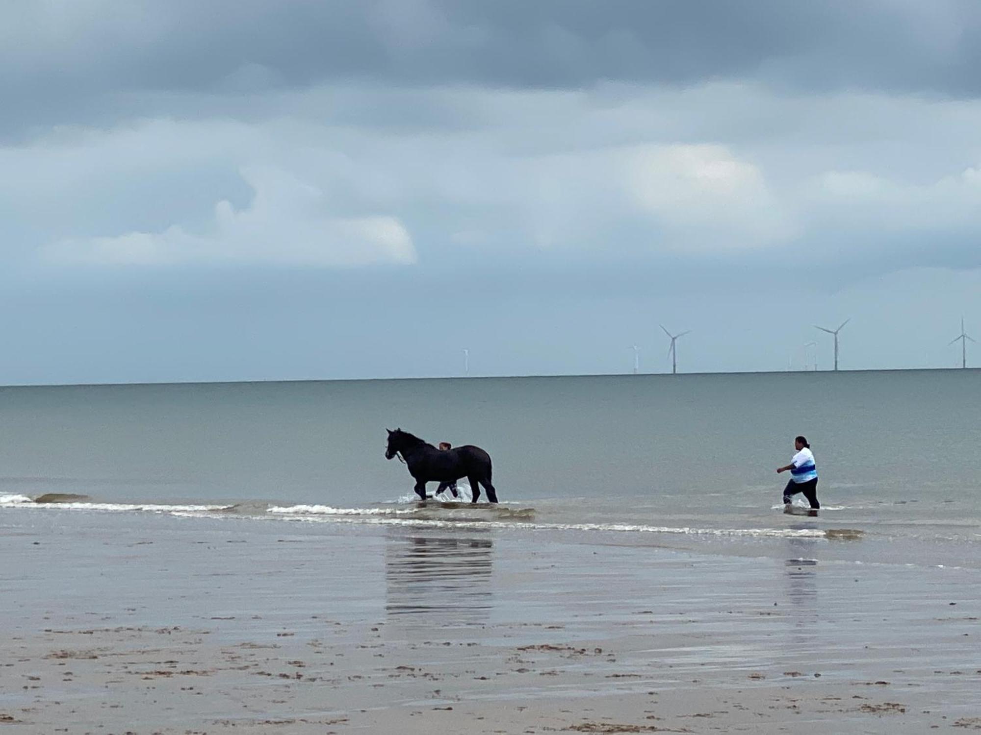 Ferienhaus Summer Dreams Skegness
