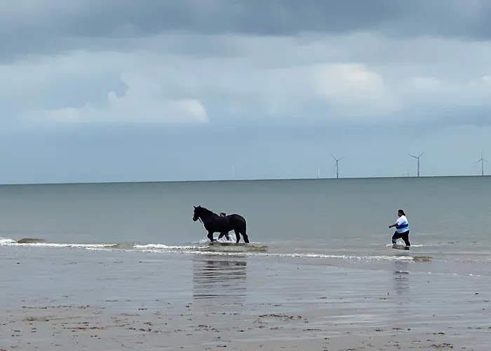 Summer Dreams Holiday Home Skegness